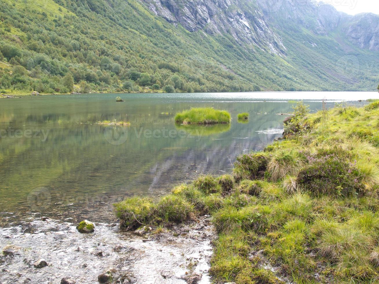 los fiordos de noruega foto