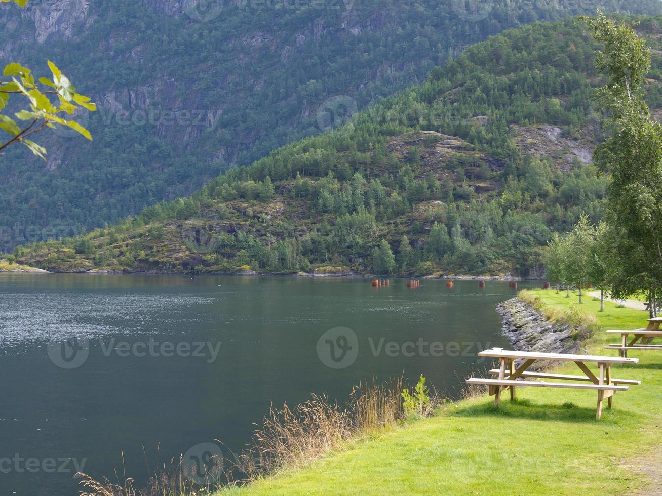 los fiordos de noruega foto