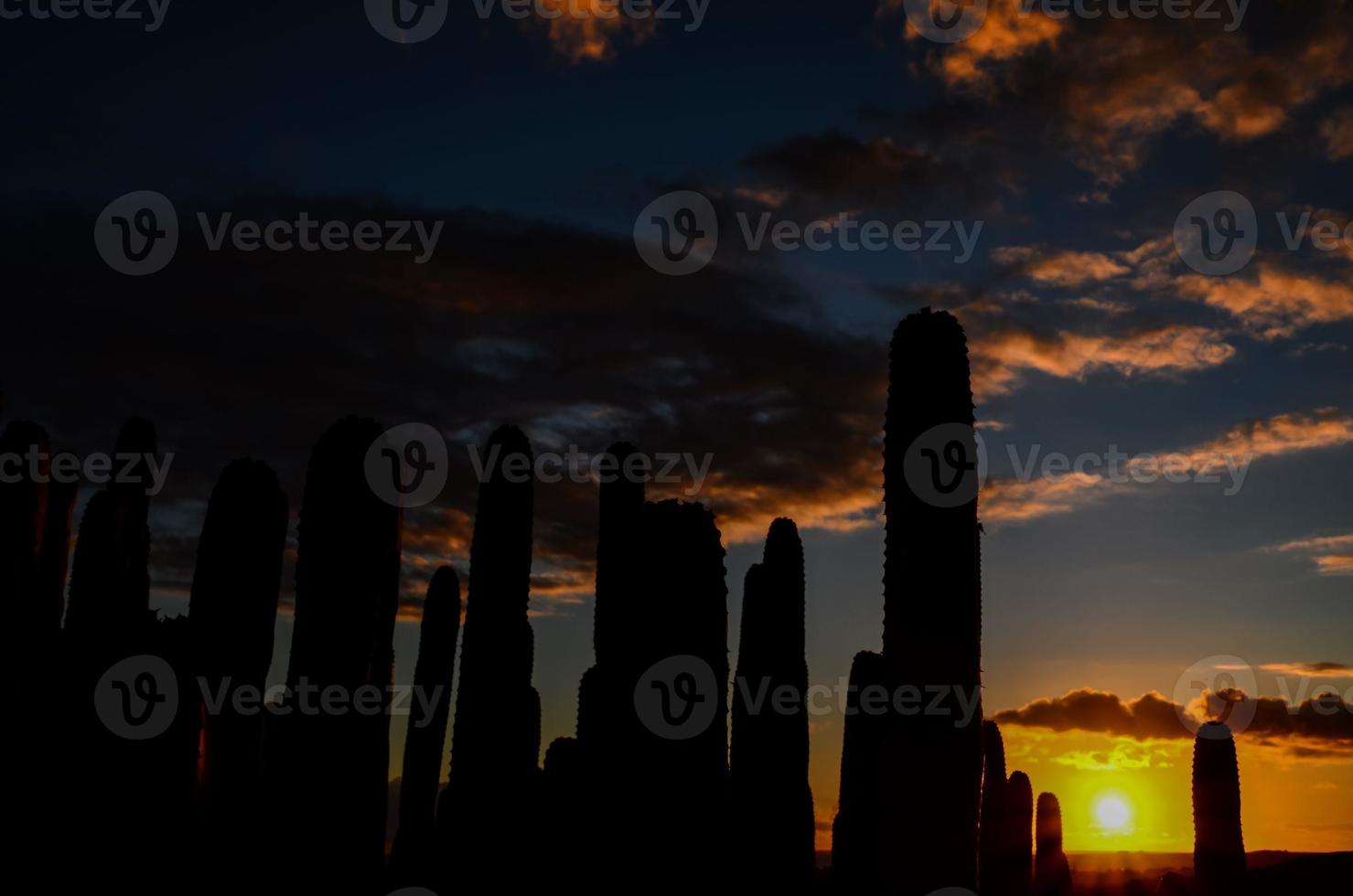 vista del desierto sobre la puesta de sol foto