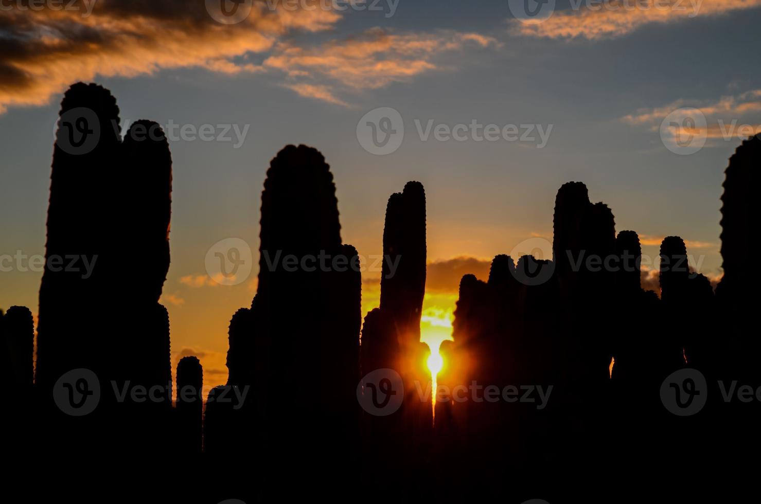 vista del desierto sobre la puesta de sol foto