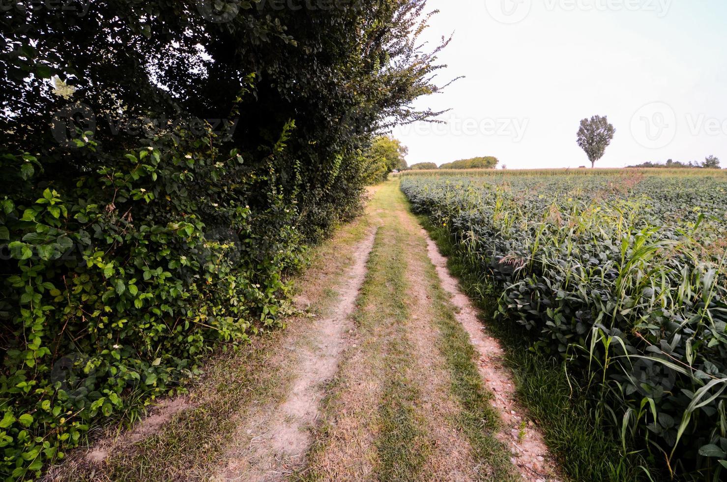 View of a road photo