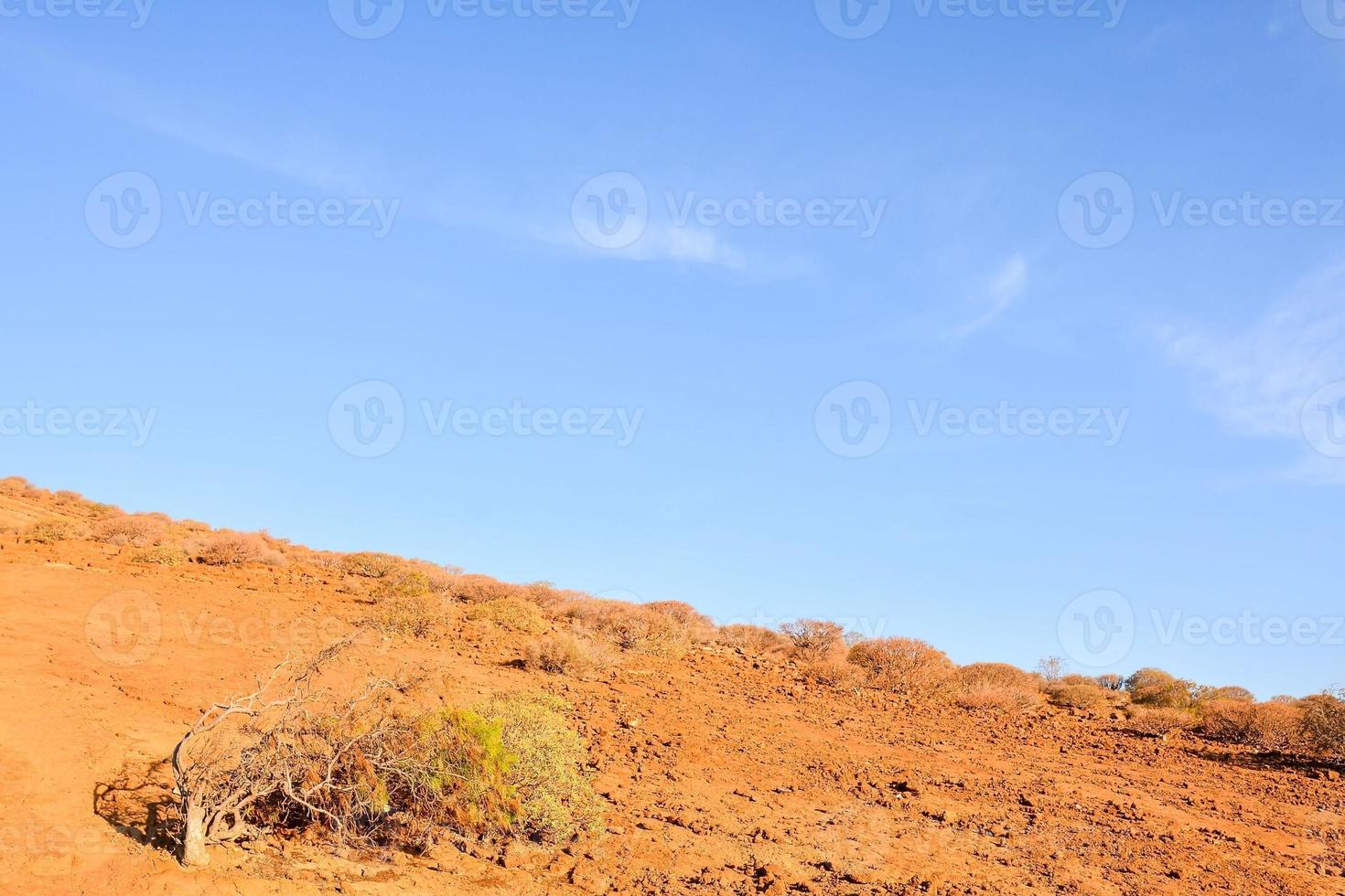 Desert view in Morocco photo