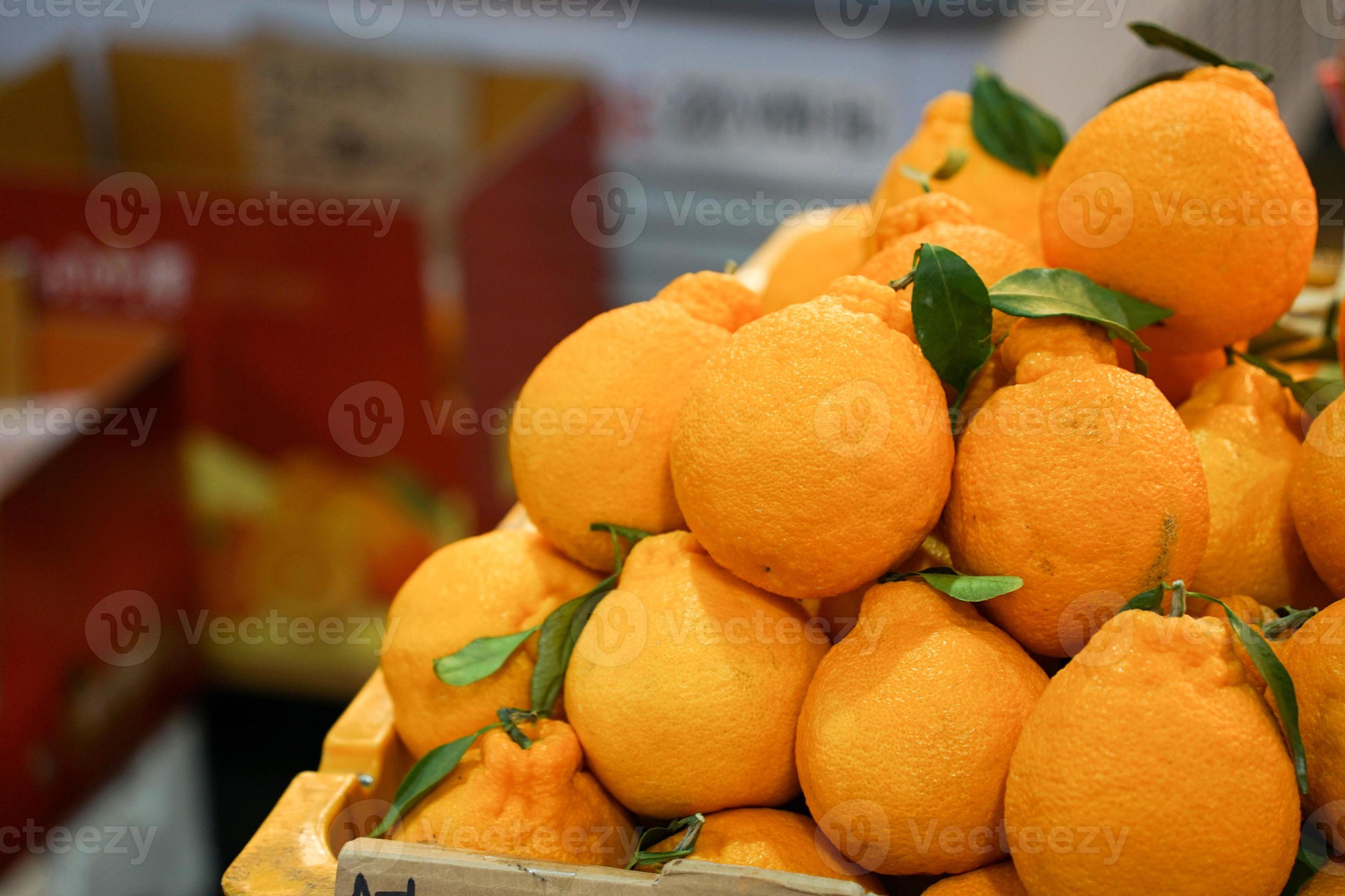 Jeju Island Tangerine Hallabong in Korea 16735538 Stock Photo at Vecteezy