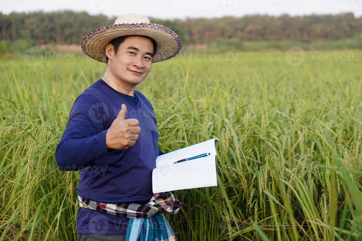 Handsome Asian man farmer is at paddy field, wear hat, blue shirt, holds notebook paper, inspects growth and disease of plants. Concept, Agriculture research and study to develop crops. photo