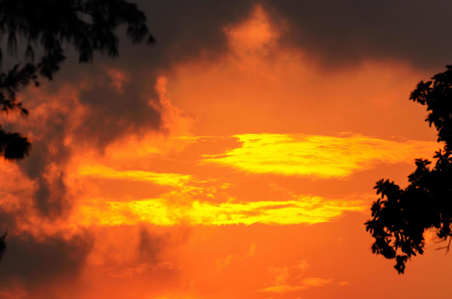 silueta del árbol y el sol en un amarillo anaranjado claro al atardecer foto