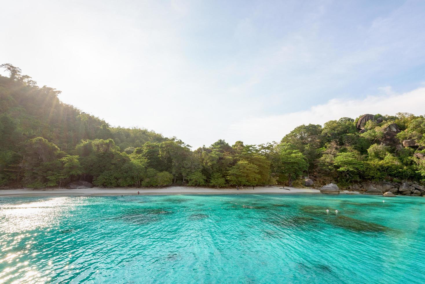 Honeymoon Bay and beach in Similan island, Thailand photo