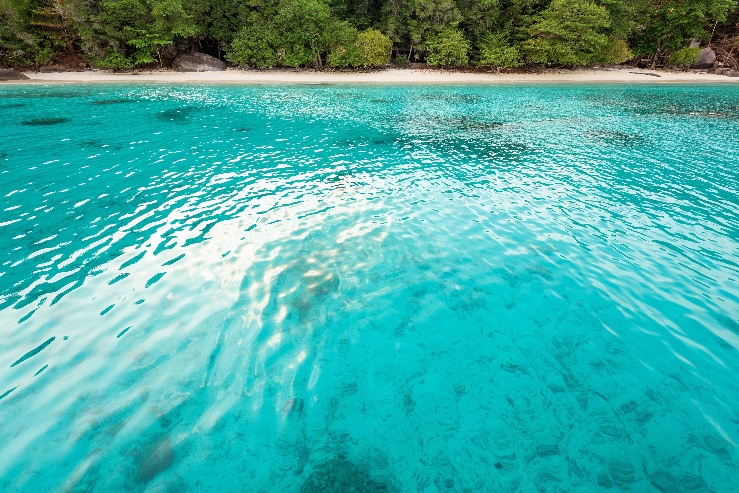 Honeymoon Bay and beach in Similan island, Thailand 16735824 Stock
