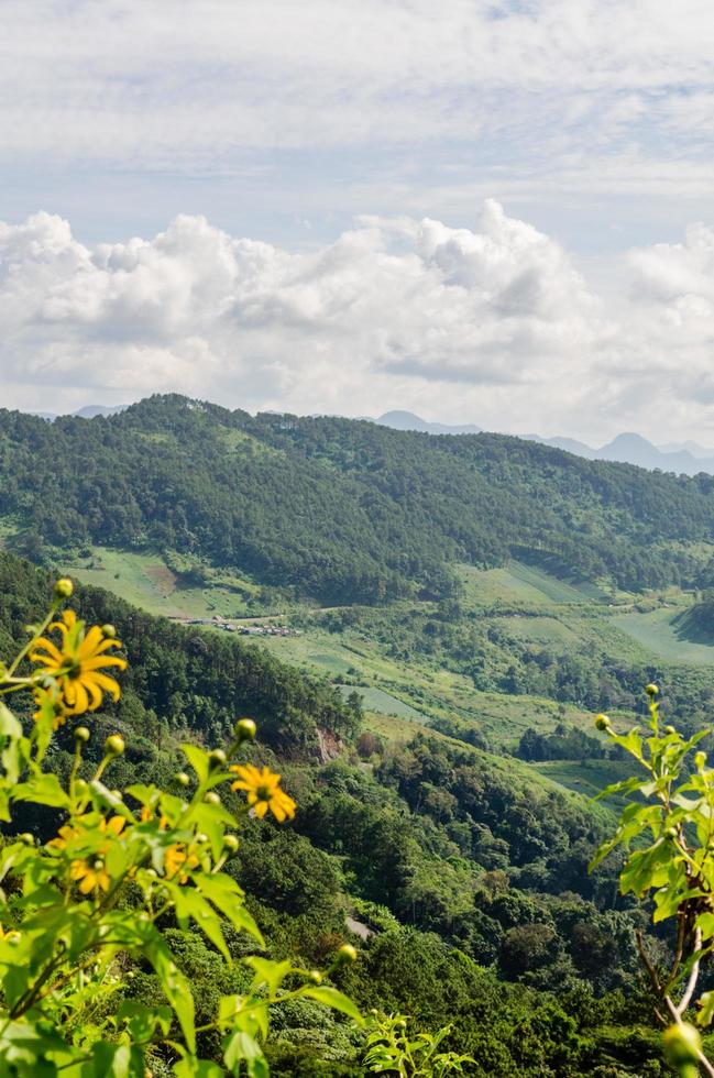 Landscape high mountain range at Doi Mae U Ko photo