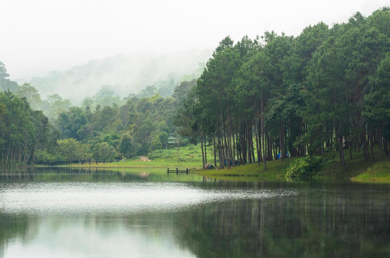 Nature landscape at morning of lakes and pine forests photo