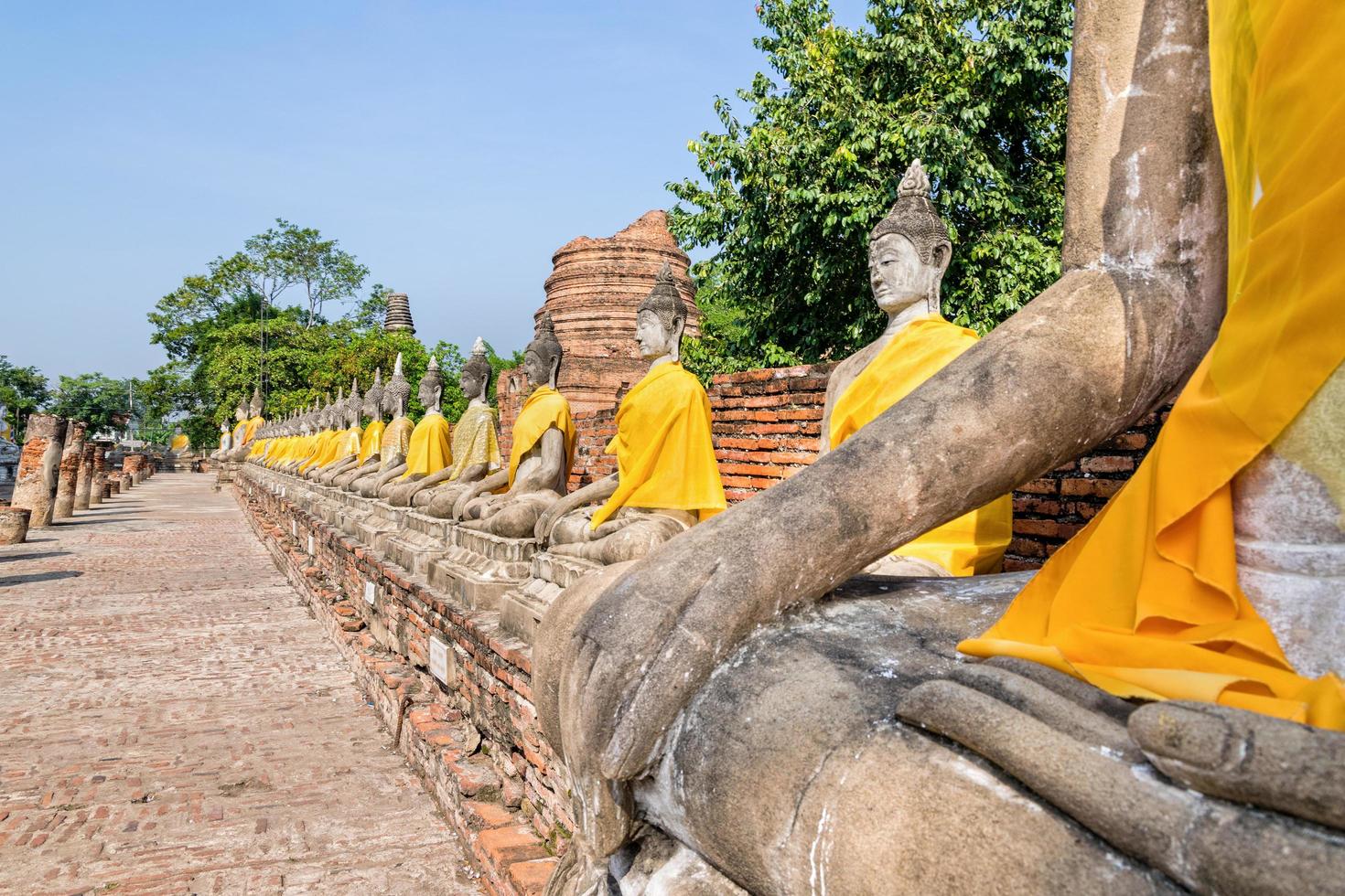 Row of Buddha statue photo