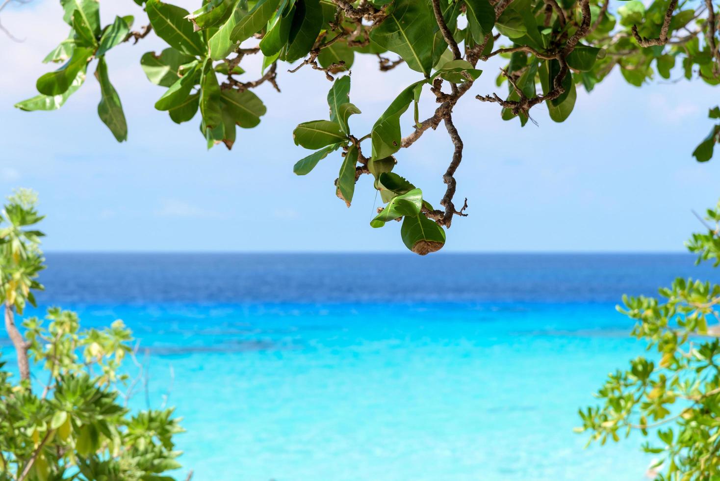 Beautiful blue sea at Koh Miang in Mu Koh Similan, Thailand photo