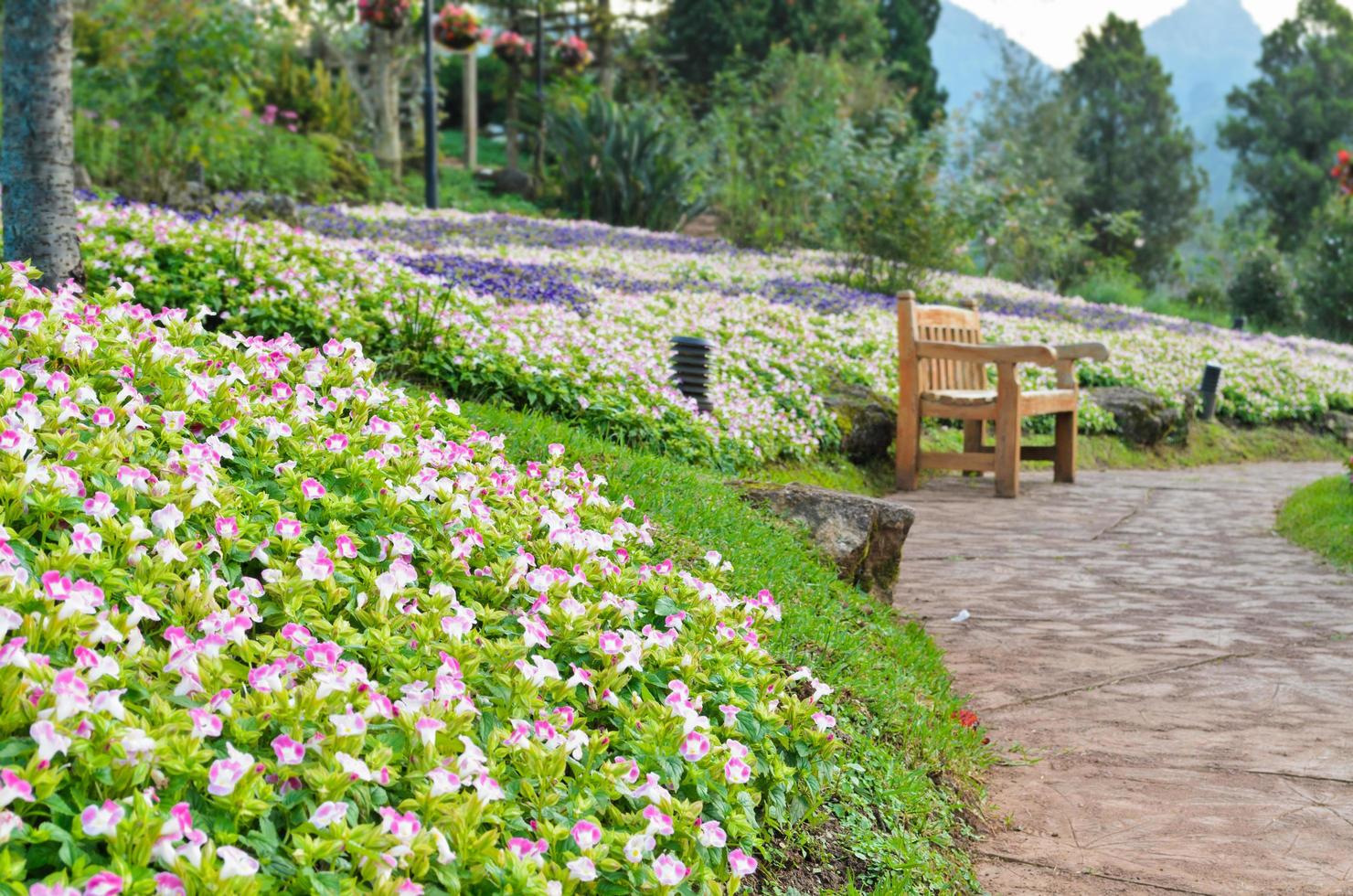 Chair in the flower garden photo