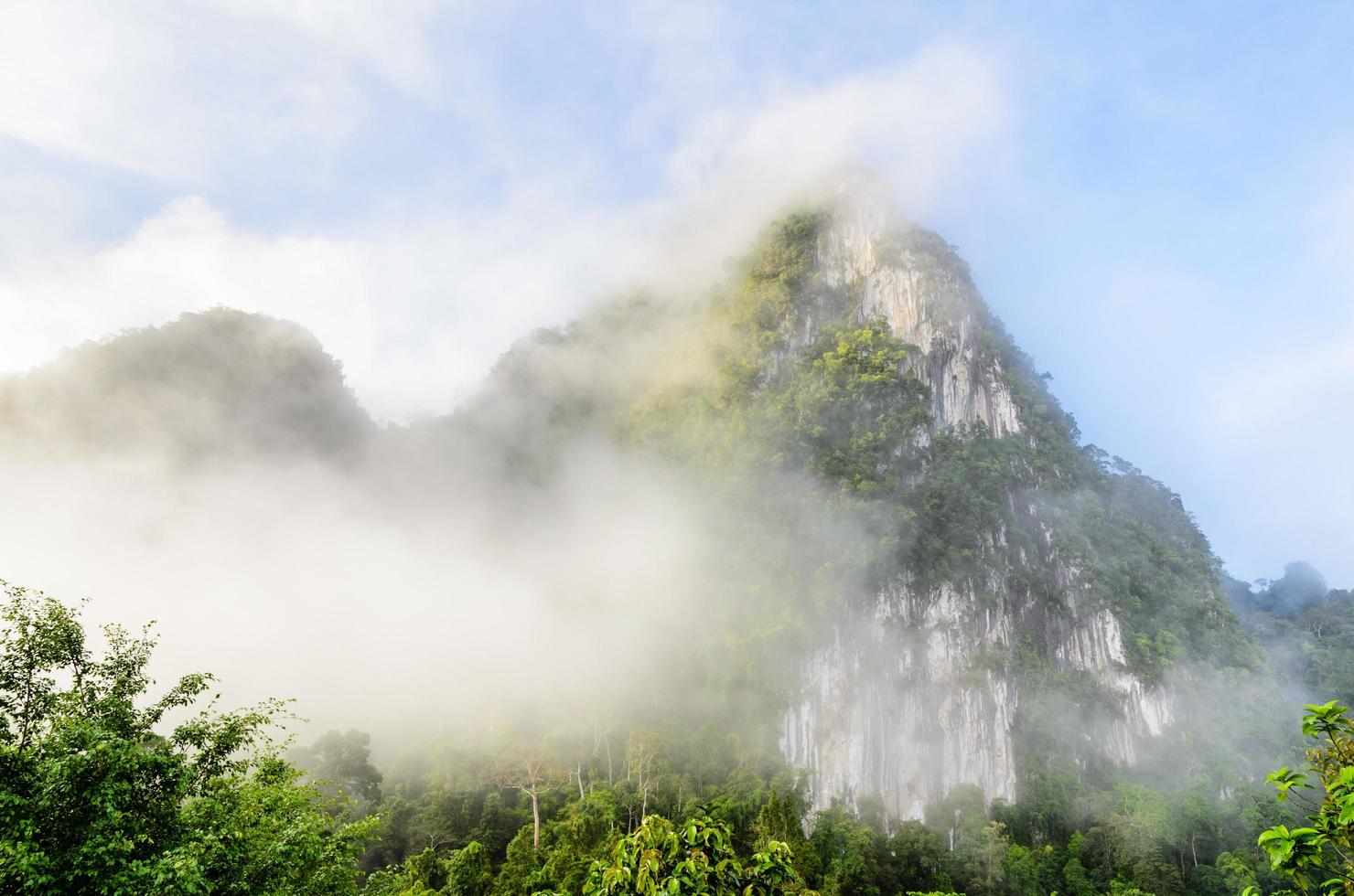 Lush high mountains covered by mist photo