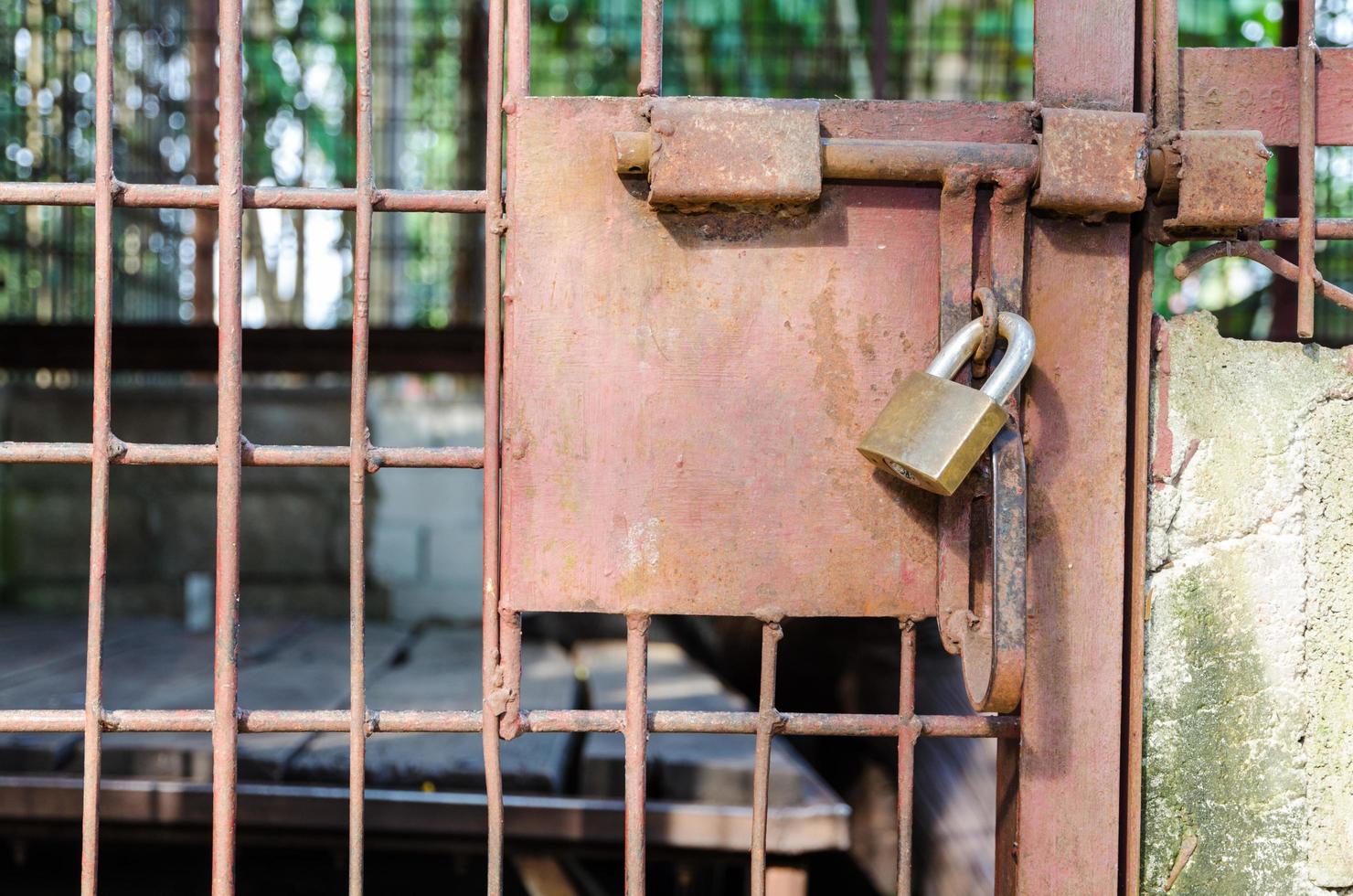 Steel cage door was locked with a key photo