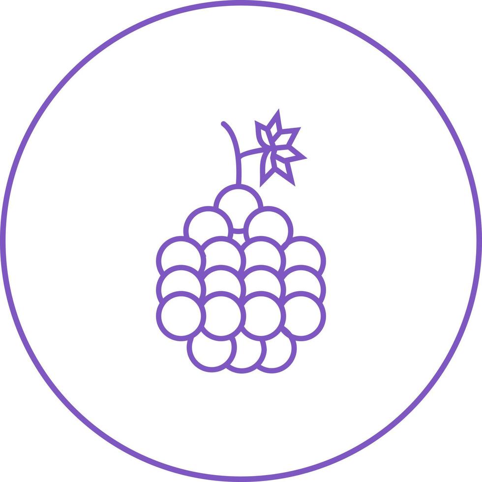 icono de línea de vector de uvas único