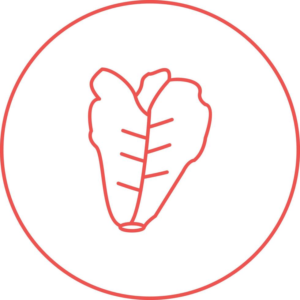 Unique Lettuce Vector Line Icon