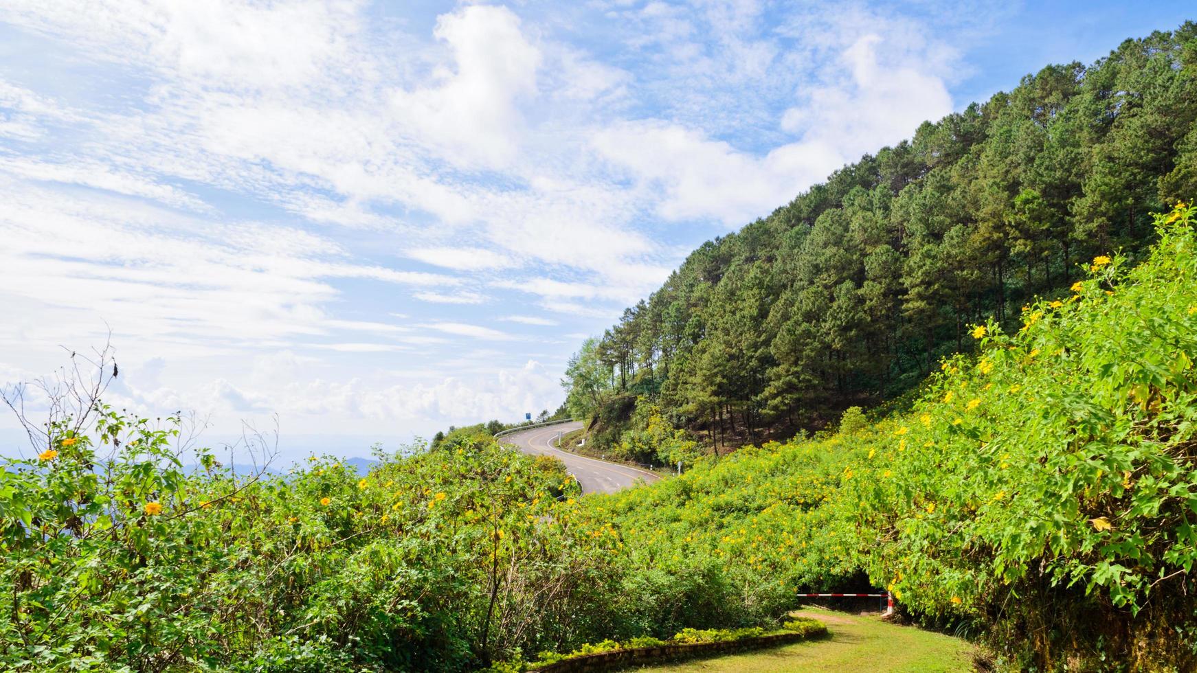 Scenic nature Doi Mae Uko mountain photo