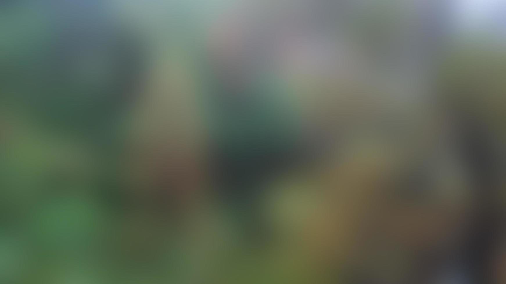 defocused beautiful and stunning green and red trees in a tourist spot photo