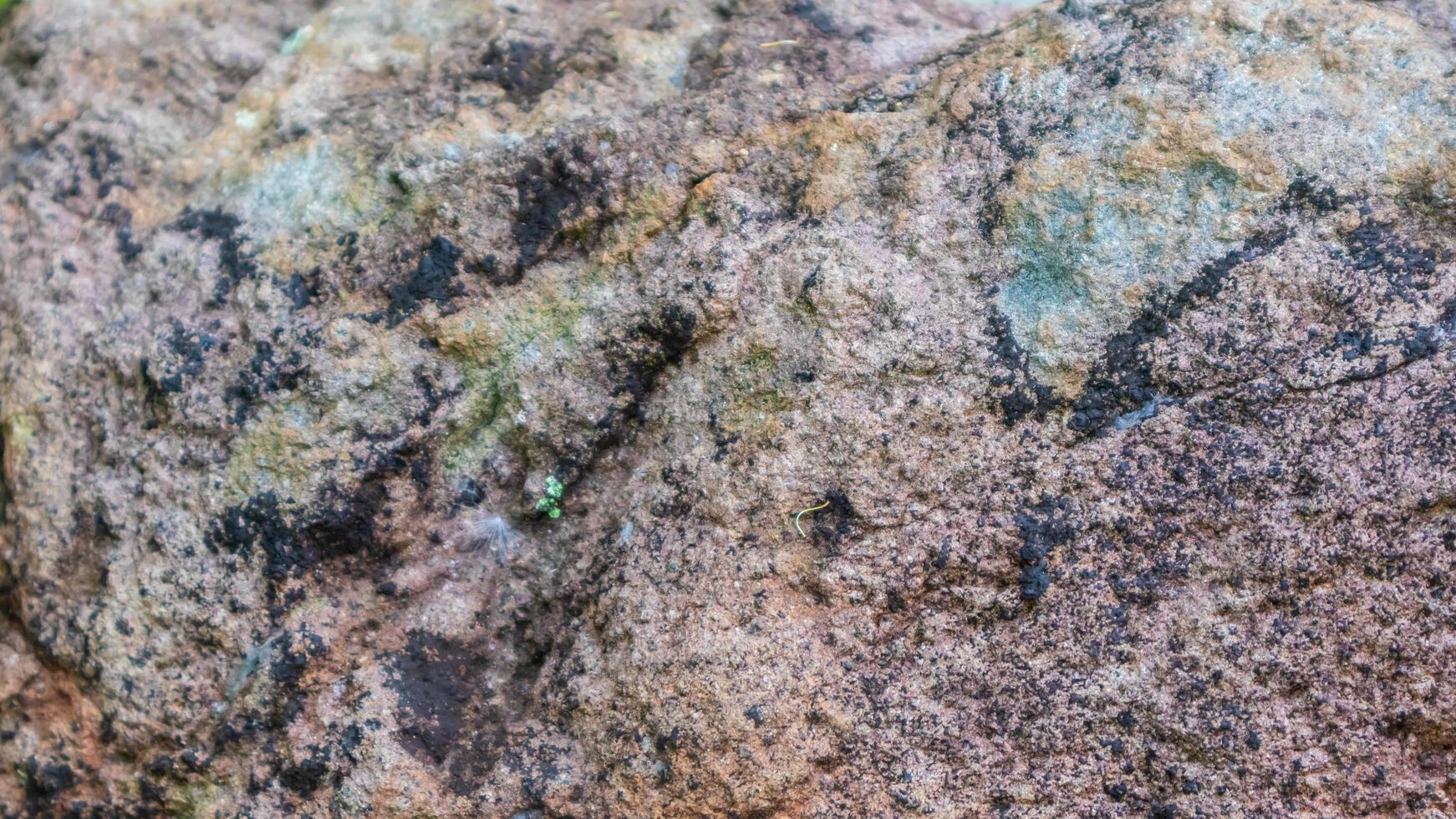 amazing rock texture as a background photo