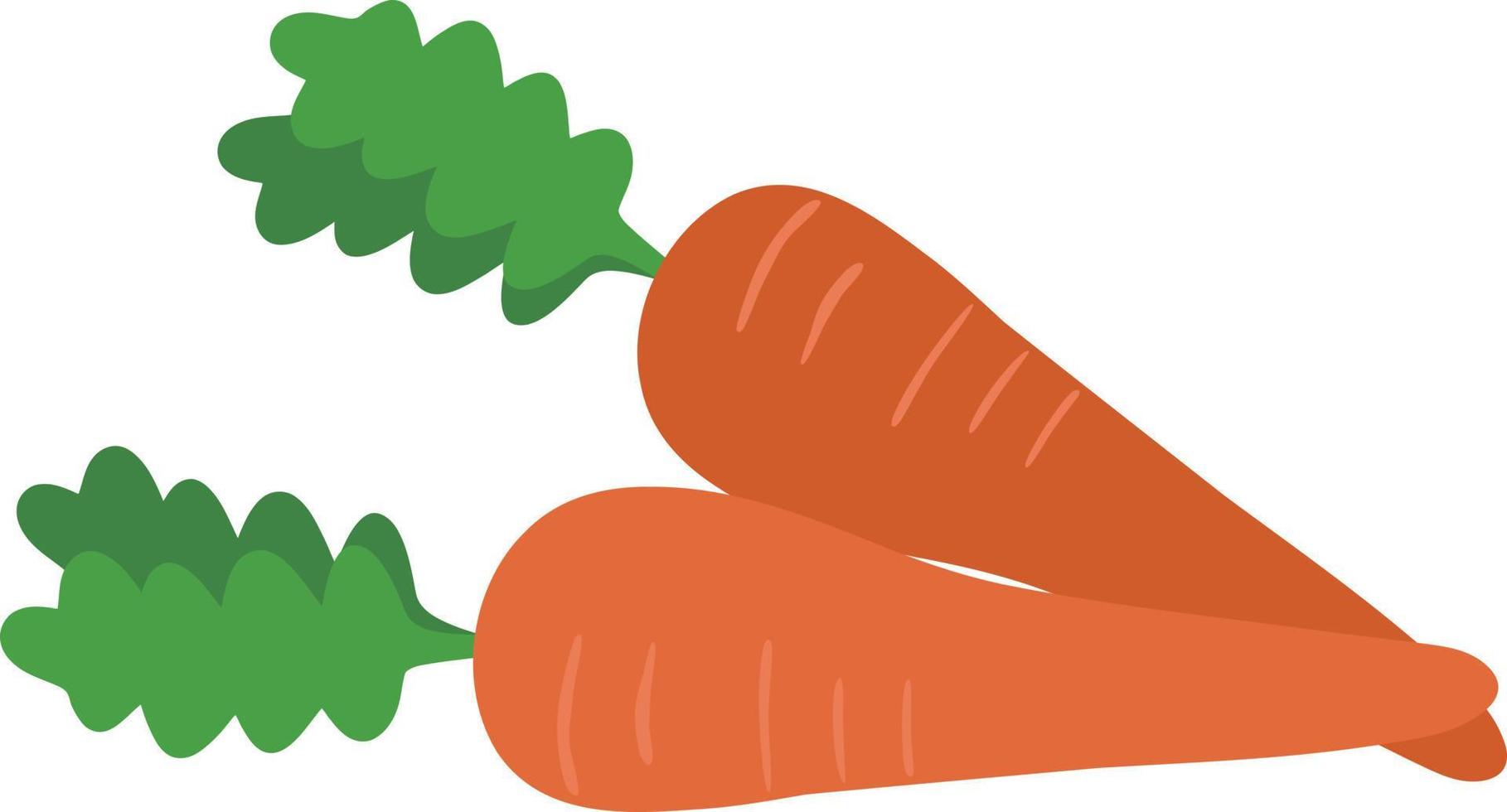 Orange carrot with leaves vector design, vegetable illustration element.