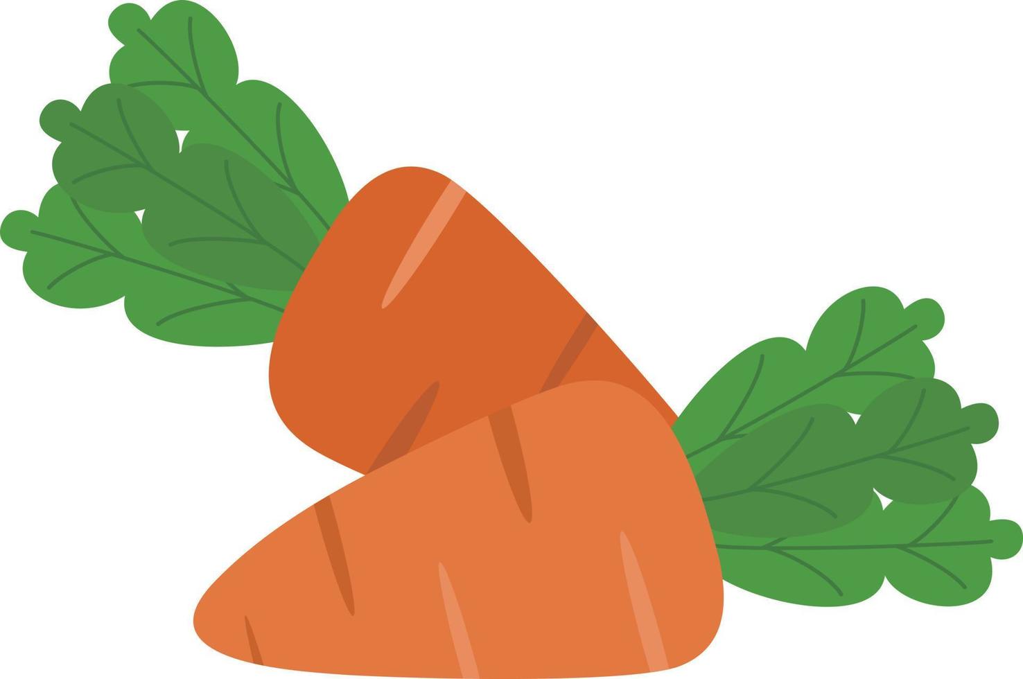 Orange carrot with leaves vector design, vegetable illustration element.
