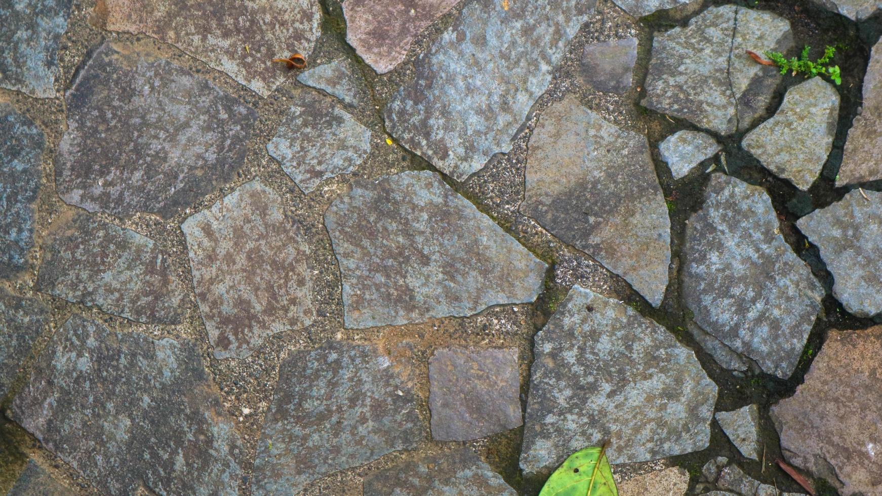 cobblestone path with fallen leaves. as background photo
