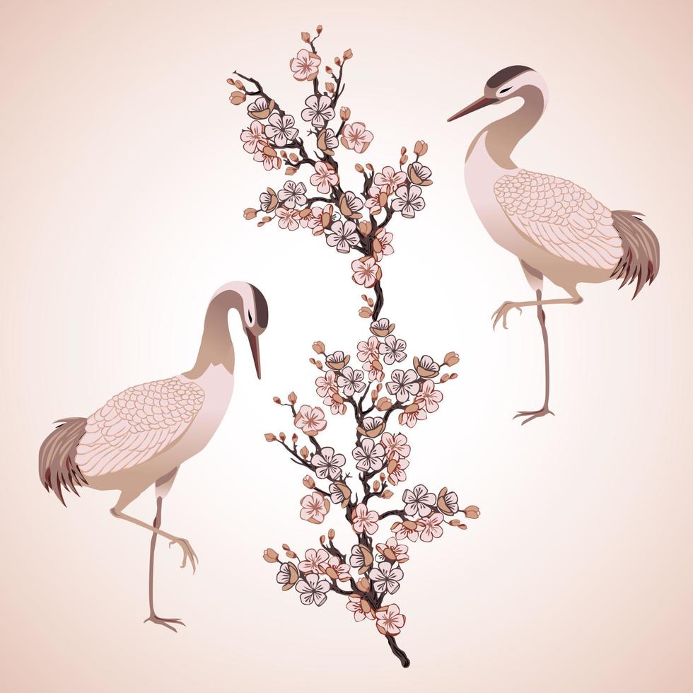 two herons birds and japanese cherry vector illustration,
