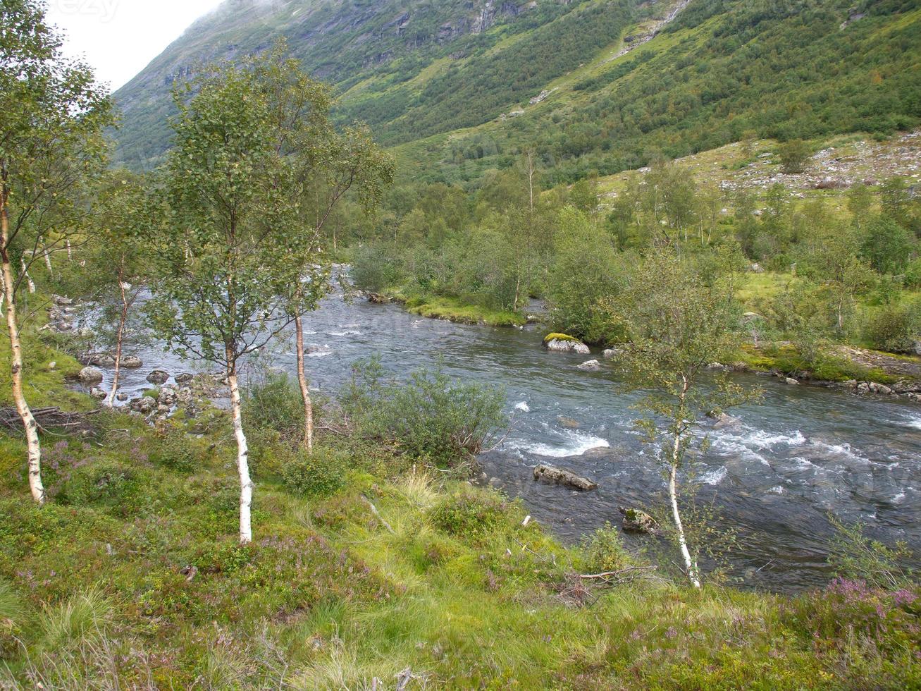 los fiordos de noruega foto