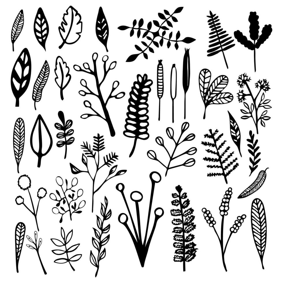 Reed flower collection vector design