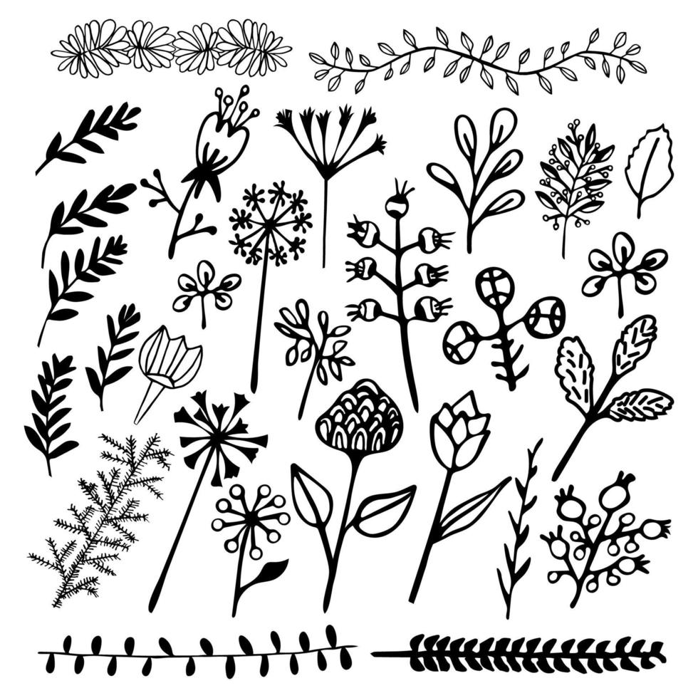 Reed flower collection vector design