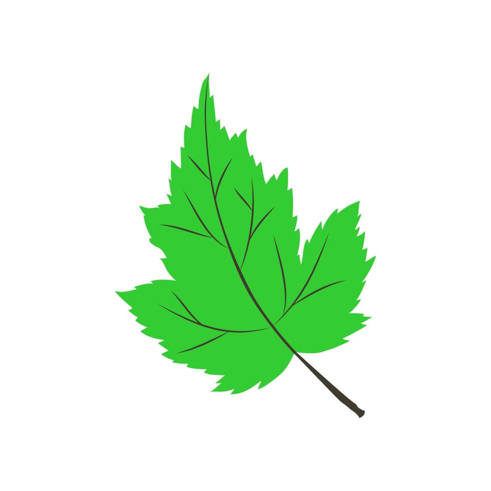 Mint leaf vector design