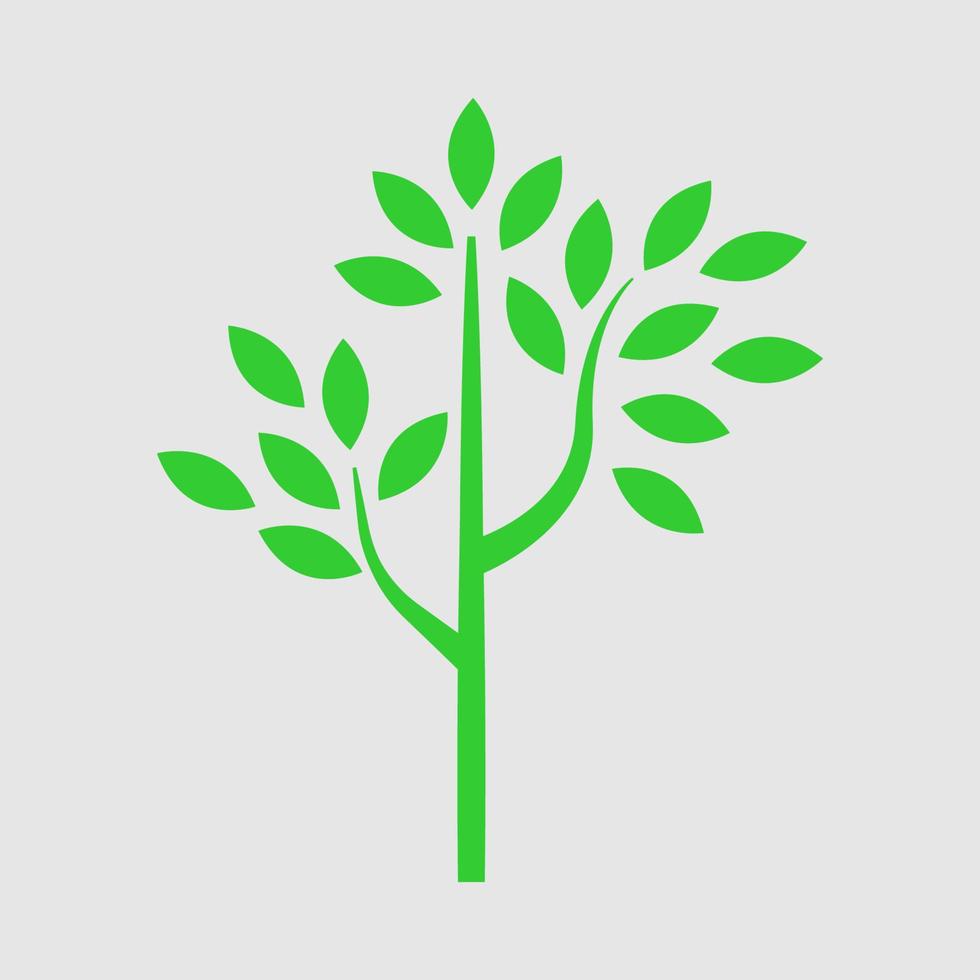 diseño de vector de planta para logotipo