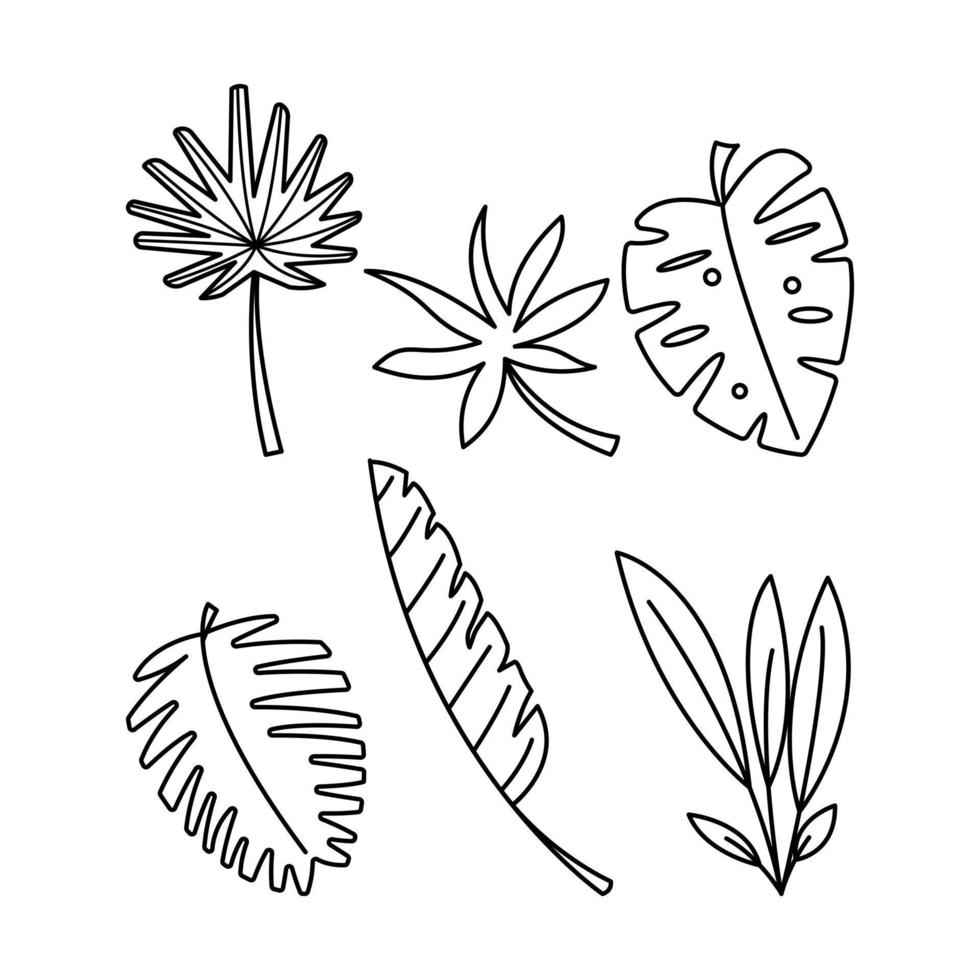 Set of hand drawn outline tropical leaves plants doodle illustration vector