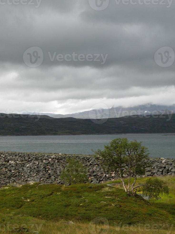 los fiordos de noruega foto