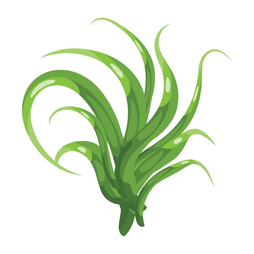 Trendy Scutch Grass vector