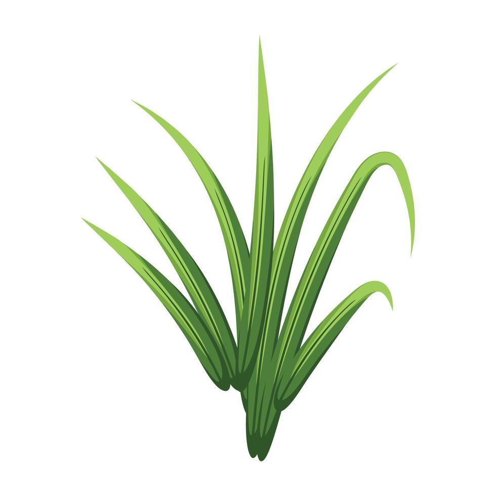 Trendy Fresh Grass vector