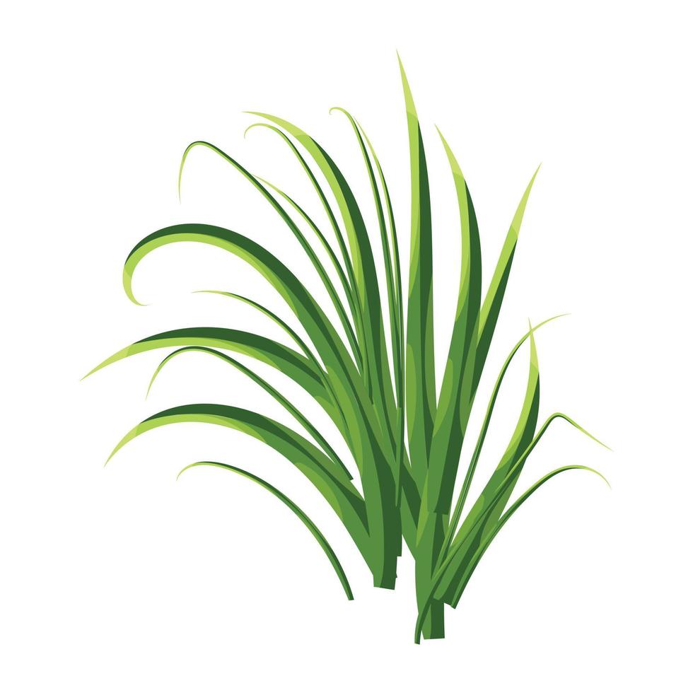 Trendy Fresh Grass vector