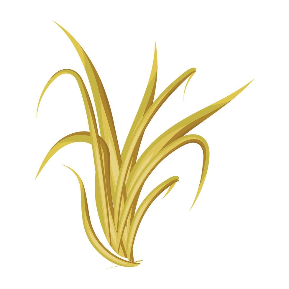 Trendy Dry Grass vector