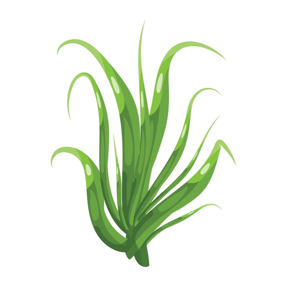 Trendy Green Grass vector