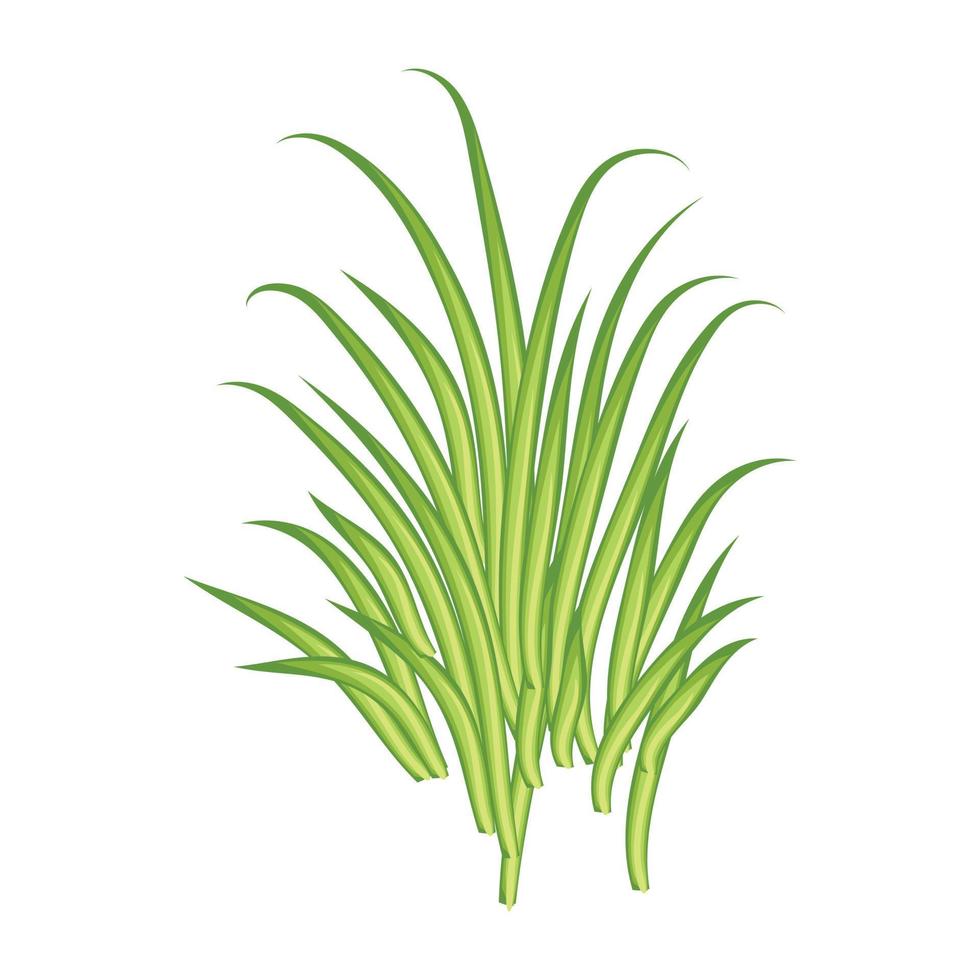 Trendy Turf Grass vector