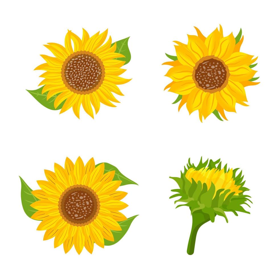 Set of Beautiful Flowers Flat Vectors 16745210 Vector Art at Vecteezy