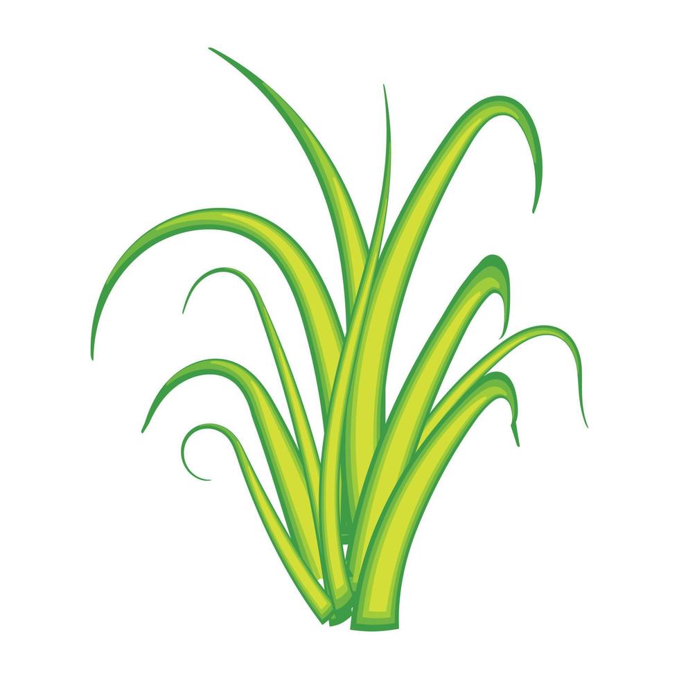 Trendy Poaceae Concepts vector