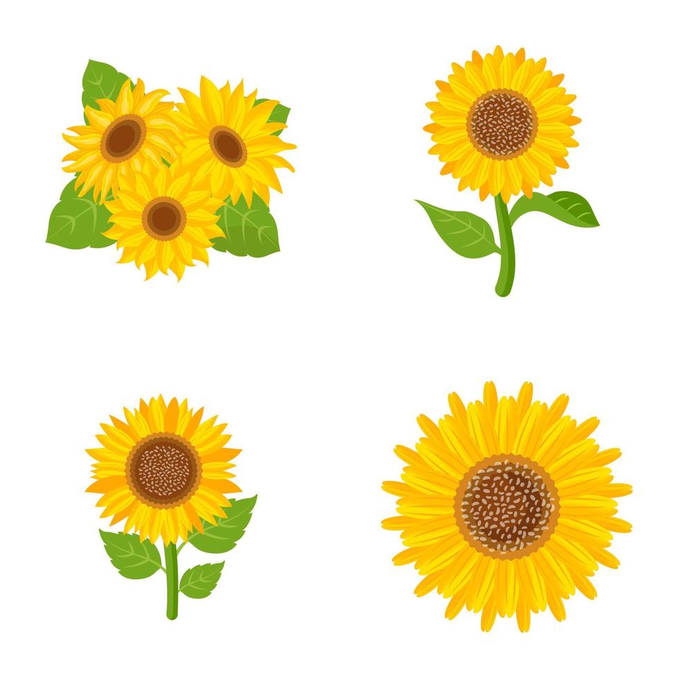 Pack of Blooming Flowers Flat Vectors