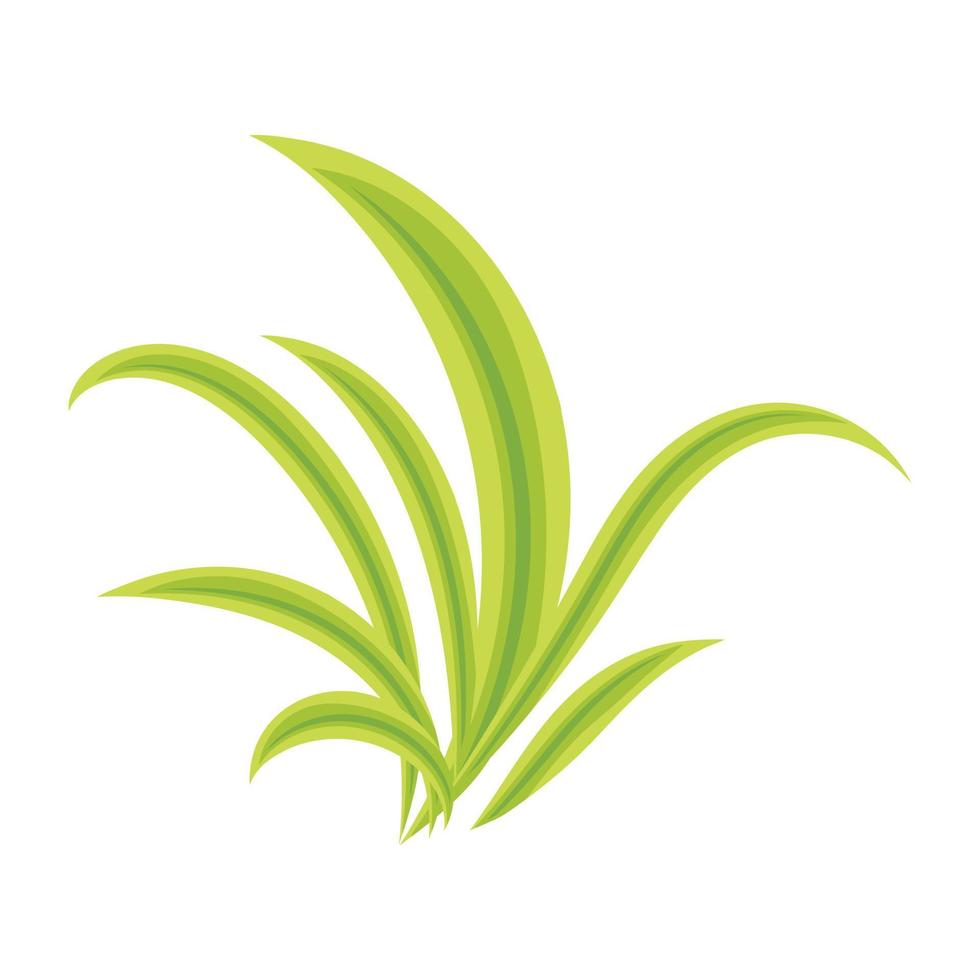 Trendy Scutch Grass vector