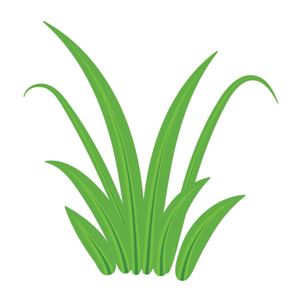 Trendy Turf Grass vector