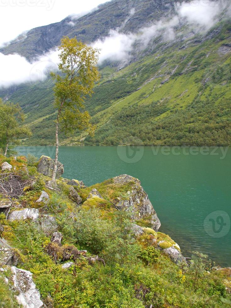 los fiordos de noruega foto