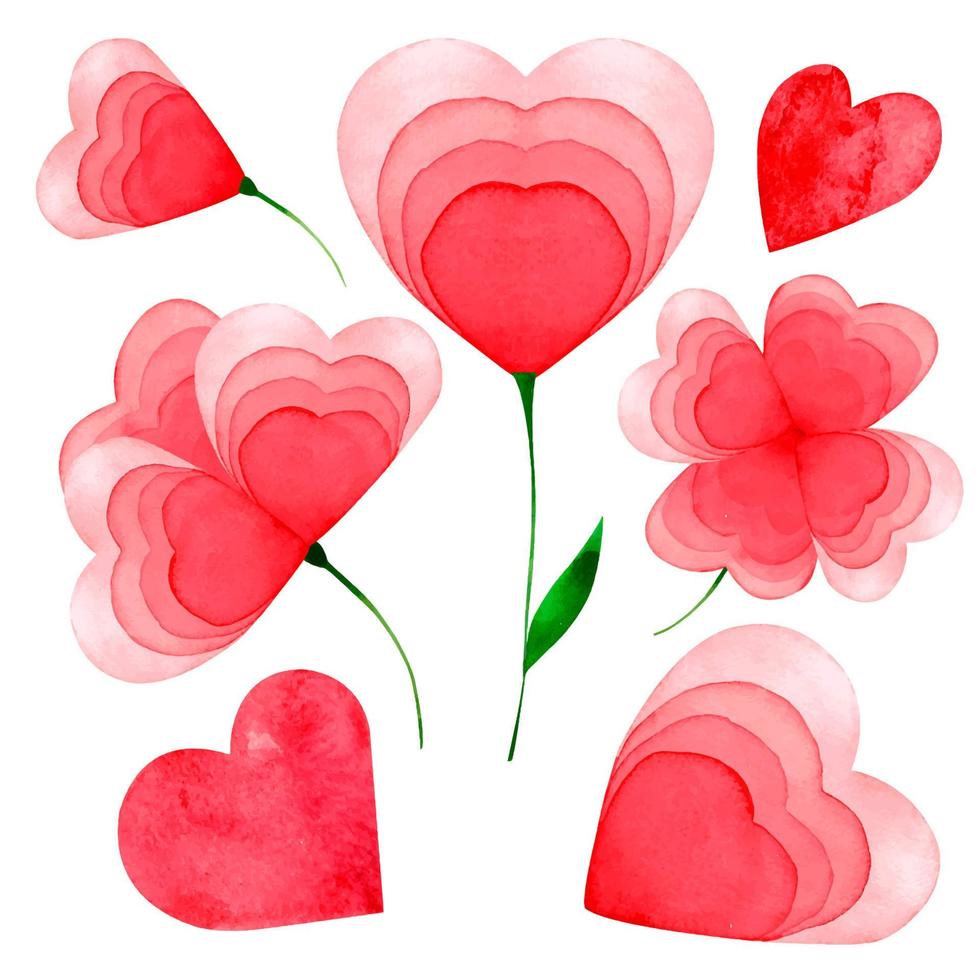 conjunto de amor flores corazón pintado acuarela rojo aislado vector