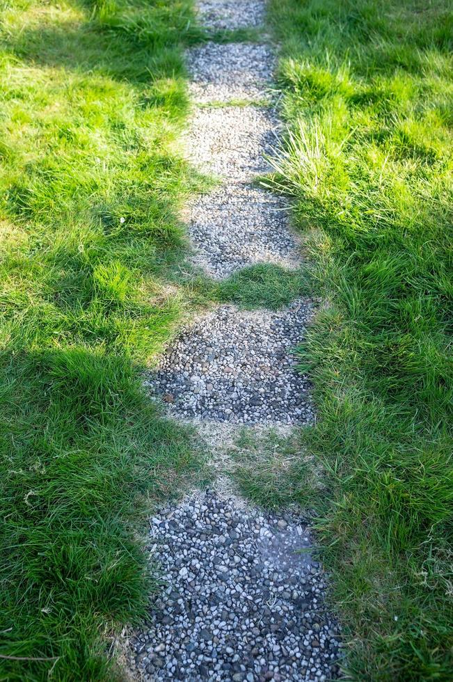 Path made of small stones, a well-groomed lawn with fresh green grass on the sides, in the rays of the spring sun. photo