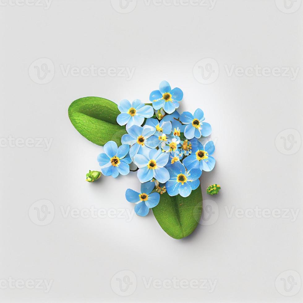 Forget-me-not flower in a top view, isolated on a white background, suitable for use on Valentine's Day cards. photo