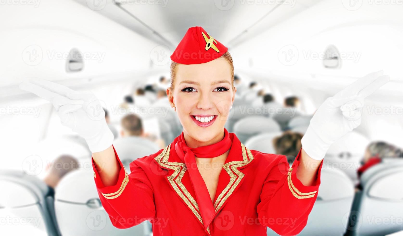 Beautiful flight attendant photo